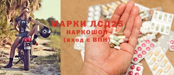 apvp Горнозаводск